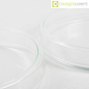 Piastre di Petri in vetro da laboratorio (6)